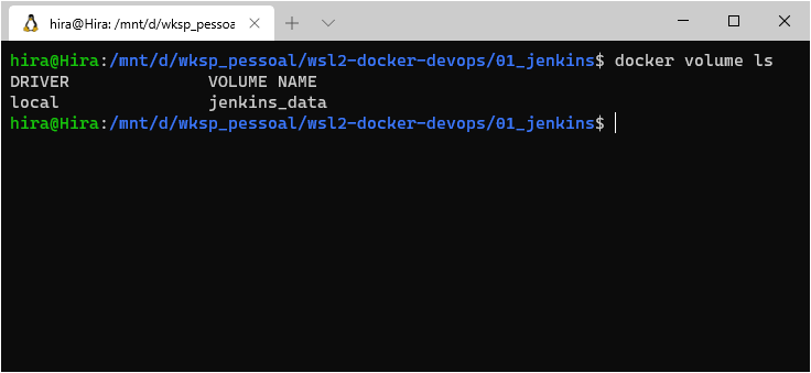 Docker volume jenkins_data